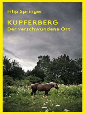cover image of Kupferberg